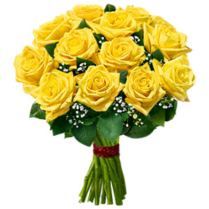 12 Yellow Roses